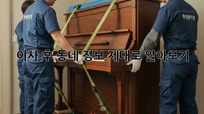 이사 후 동네 정보, 제대로 알아보기!